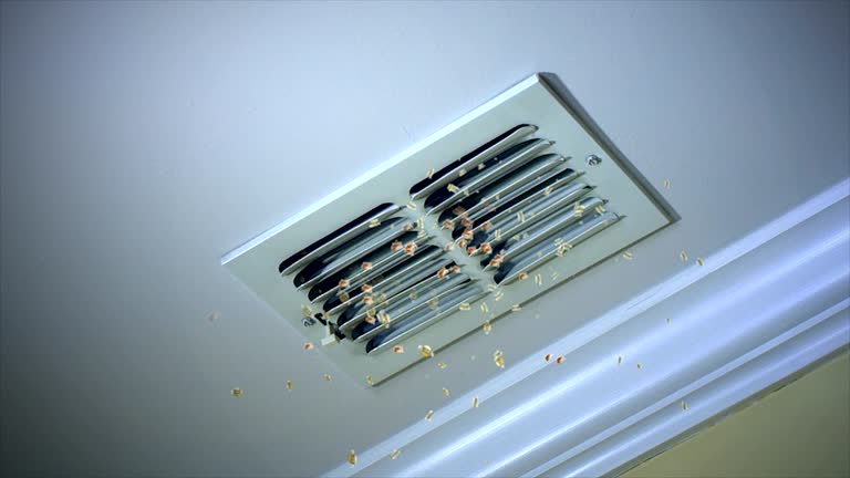 Best Affordable HVAC Duct Cleaning  in South Carthage, TN