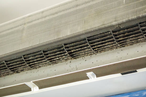 Best Air Duct Cleaning Near Me  in South Carthage, TN